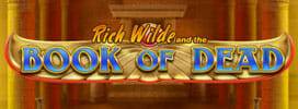 Book Of Dead Logo