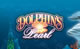 Dolphins Pearl