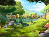 Gnome Wood Slot