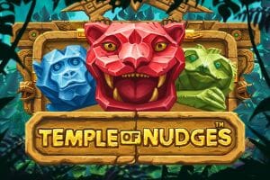 Temple of Nudges Logo